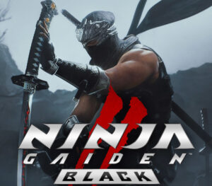NINJA GAIDEN 2 Black PC Steam CD Key