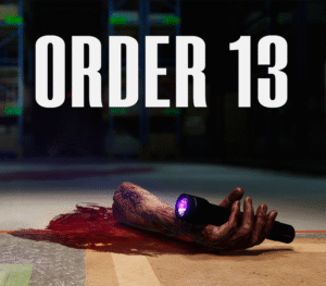 ORDER 13 PC Steam CD Key