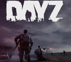 DayZ NA PC Steam CD Key