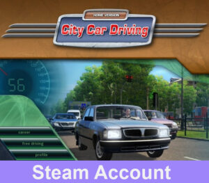 City Car Driving Steam Account