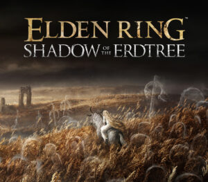 ELDEN RING – Shadow of the Erdtree DLC EU PC Steam CD Key