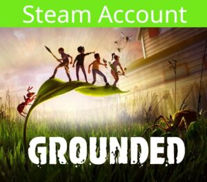 Grounded Steam Account