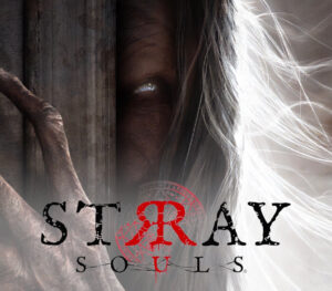 Stray Souls PC Steam CD Key