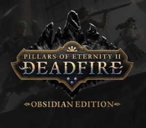 Pillars of Eternity II: Deadfire Obsidian Edition FR PC Steam CD Key