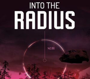 Into the Radius VR Steam Account
