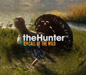 theHunter: Call of the Wild – Revontuli Coast DLC Steam CD Key