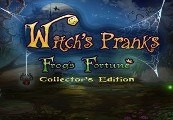 Witch’s Pranks: Frog’s Fortune Collector’s Edition Steam CD Key