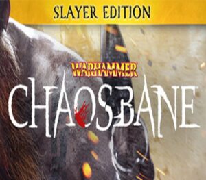 Warhammer: Chaosbane Slayer Edition EU PC Steam CD Key