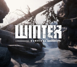 Winter Survival PC Steam Account