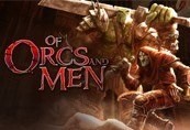Of Orcs And Men EU PC Steam CD Key